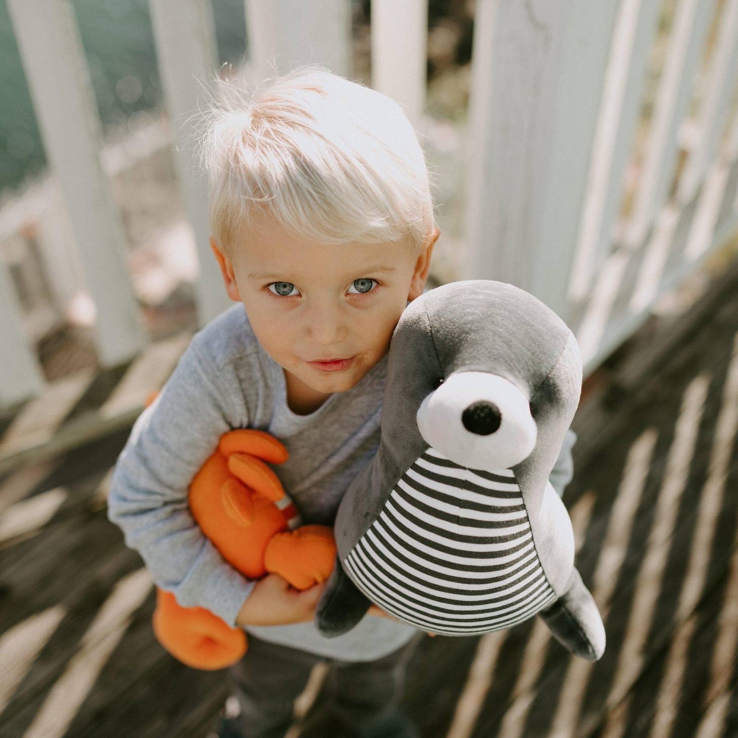 Seamore Seal - Bunnies By The Bay